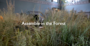 Forest of Imagination 2023 film, “Assemble in the Forest”